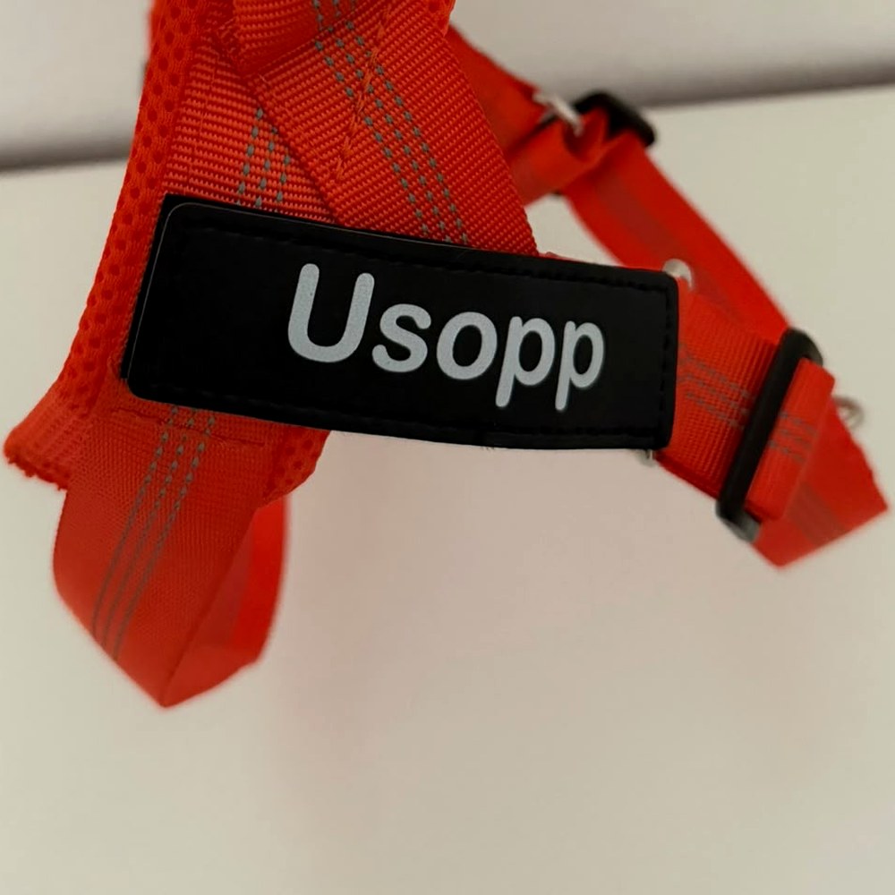 Photo réelle : l'écusson Usopp, nom imprimé en blanc, fixé sur le harnais PIPPO orange