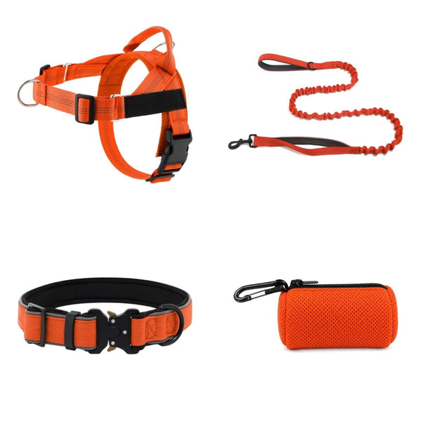 Kit PIPPO